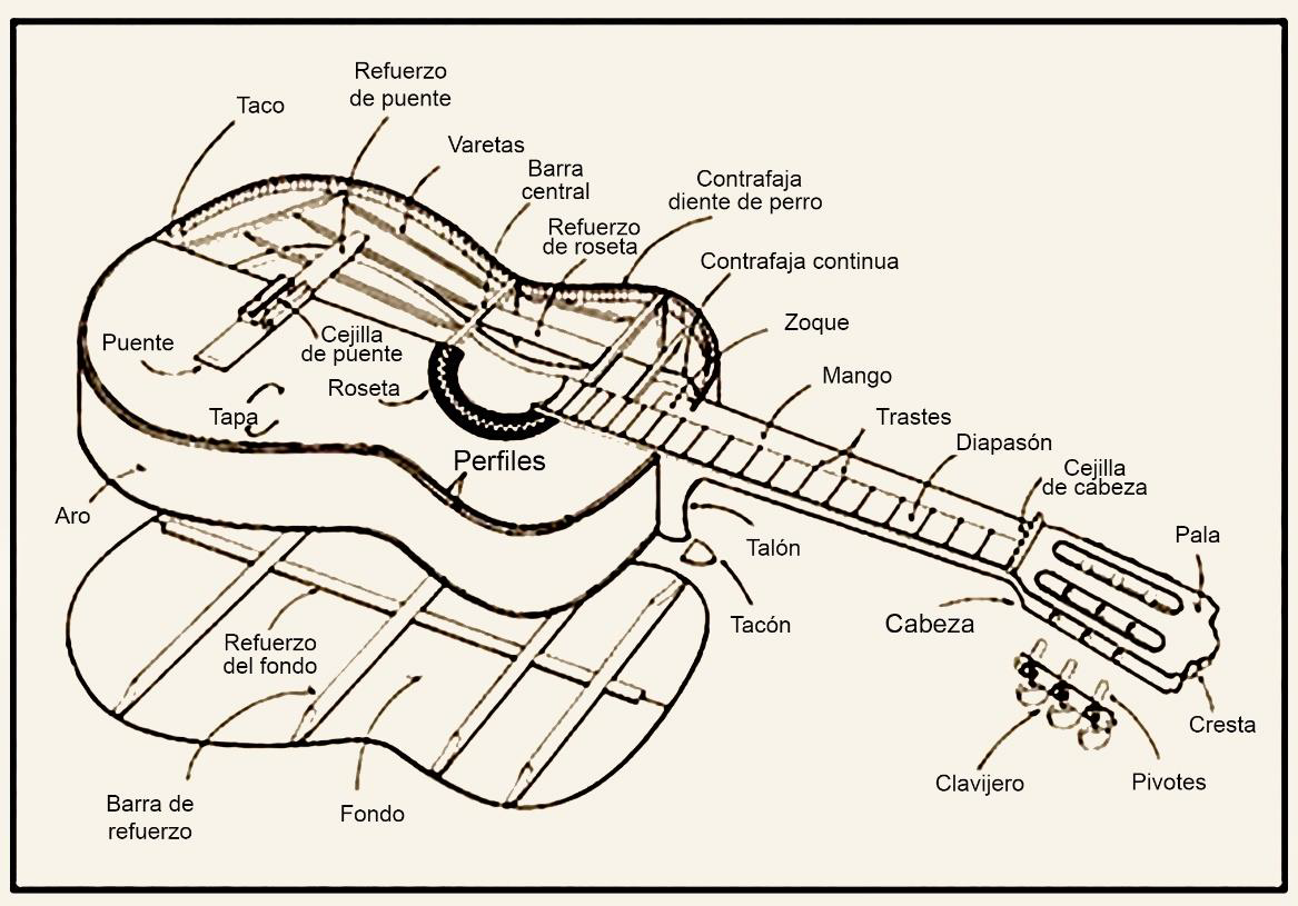Caja armónica de la guitarra clásica y flamenca (guitarra española)